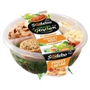 SODEBO GARDEN SALAD 240G CHICKEN CAESAR