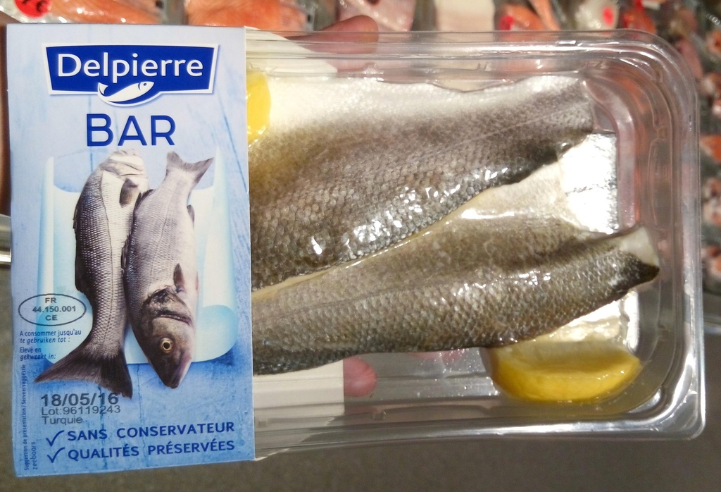 BARQ.190G FILET BAR DELPI