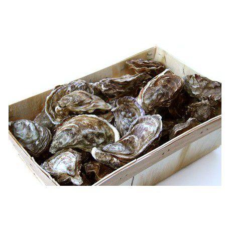 24 Special No. 3 Oysters Basket