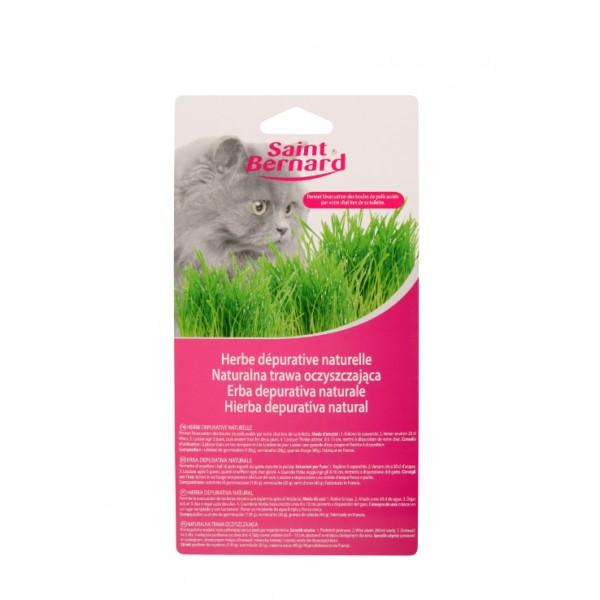 BAC HERBE A CHAT ST BERN.