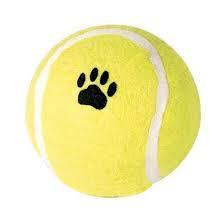 JOUET BALLE TENNIS CHIEN
