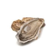 Basket of 12 N°3 F. Claire Oysters