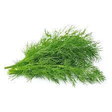  TRAY OF FRESH DILL 30G