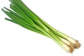 BUNCH OF SPRING ONIONS CAT1AL
