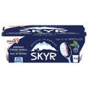 RAY YOPLAIT SKYR SUR LIT DE MYRTILLE 100GX4