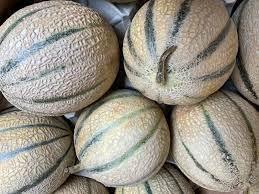 Melon Cal 12 Cat1 France