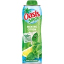 OASIS Mint Lemon Syrup 75cl