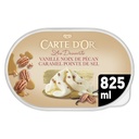 Carte D'Or Ice Cream Vanilla Pecan Caramel Point of Salt 825ml