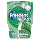 Freedent Refresher Menthe verte