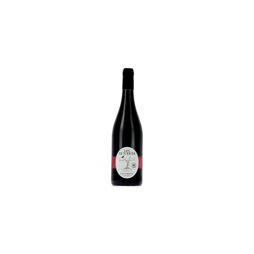 CT.BROUILLY CAV.PERREON23