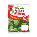 Young Salad Leaves Value Pack
