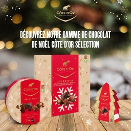 [890087] Côte d'Or Coffret Collection 345g