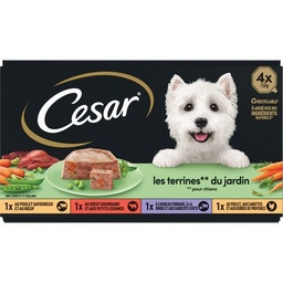 [516500] CESAR Barquettes LES TERRINES DU JARDIN 4 variétés pour chien adulte 4x150g