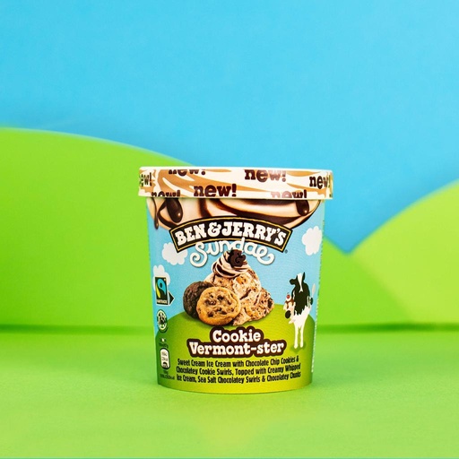 [824144] Ben & Jerry's Glace en Pot Sundae Cookie Vermont-ster 427ml