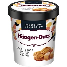 [997221] Häagen-Dazs Pot Caramel, Biscuit & Cream 460ml