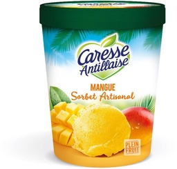 [999029] POT 460ML SORB.MANG.C.ANT