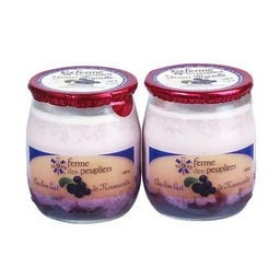 [681148] YOGHOURT BLACKBERRY X2 PEUPLIER