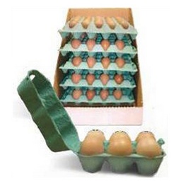 [663906] OEUFS  GROS'  VRAC PL AIR