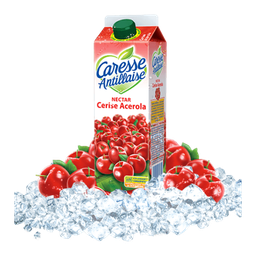 [555722] JUICE REFR.1L ACEROLA C.ANT