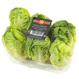 [595702] CAROTTE LAVEE BQ 750G BIO