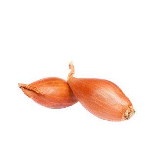 [871343] SHALLOT NET 20/40C1 FRANCE 