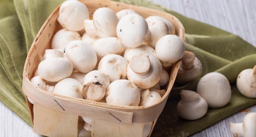 [982801] MUSHROOM STEM CPE C1 3KG