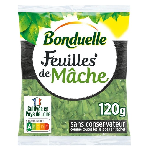 [862862] BONDUELLE FEUILLES MACHE 100G
