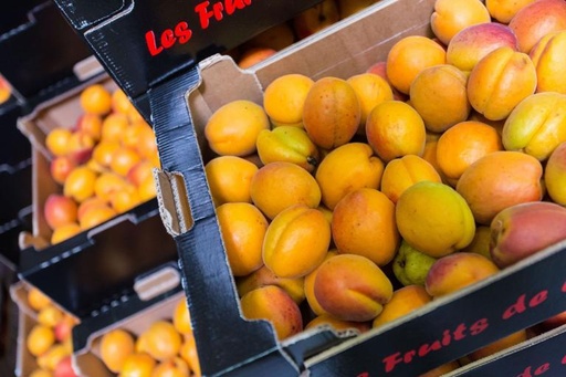 [697466] RAISIN ROSE REDGLOBE VRAC