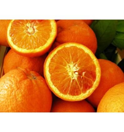 [850867] NOIX DE COCO  COTE IVOIRE