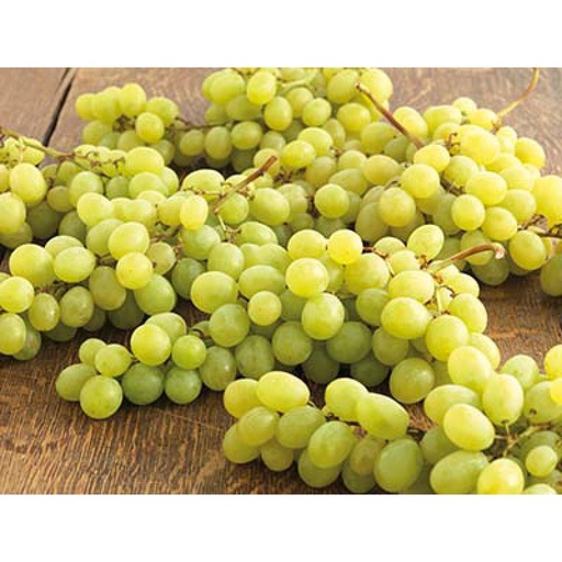 [852301] WHITE NECTARINE CAT 1ES