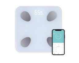 [493940] CONNECTED SCALE CONNECT0.21