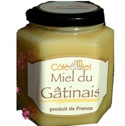 [326124] BX375 GATINESE HONEY COLLEC