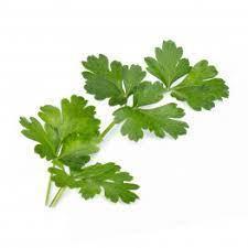 [731729] TRAY OF FRESH FLAT-LEAF PARSLEY