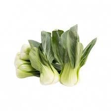 [708529] SHANGHAI PAK CHOI CAT 1 DE