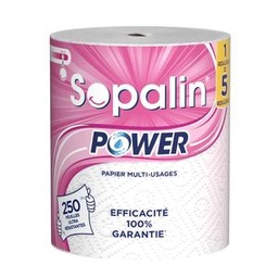 [745281] ESS.T.POWER 15 BL SOPAL.	