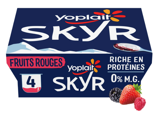 [671388] RAY YOPLAIT SKYR SUR LIT DE FRUITS ROUGES 100GX4