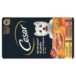 [488445] CESAR Barquettes LES TERRINES DU JARDIN coeur de légumes pour chien adulte 4x150g